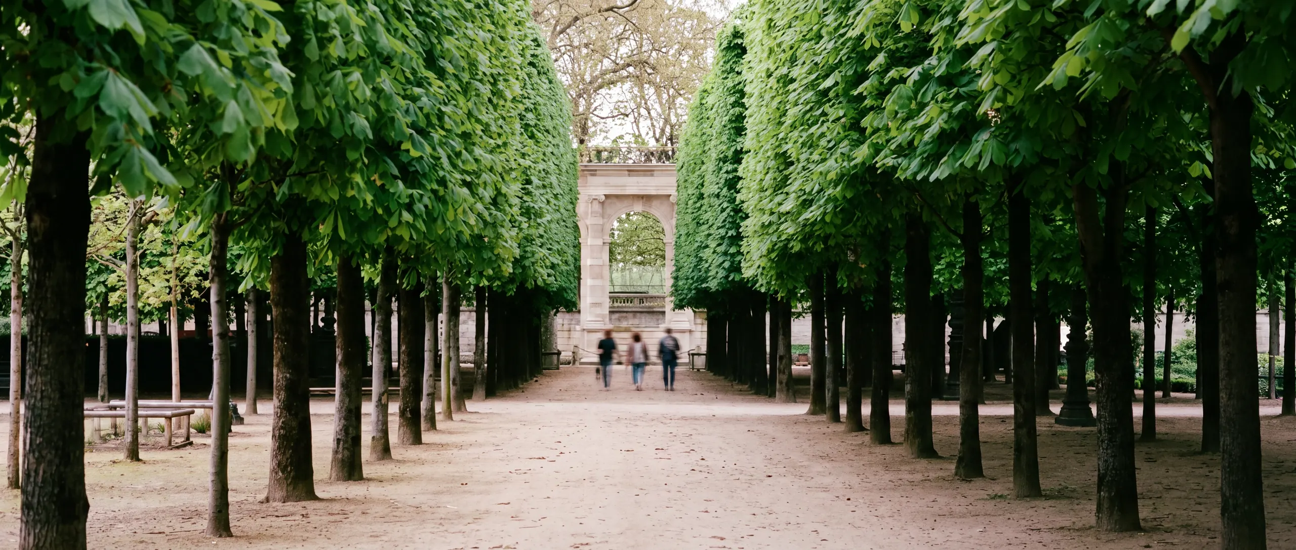 A tree-lined gravel avenue in a formal garden, three people walking away